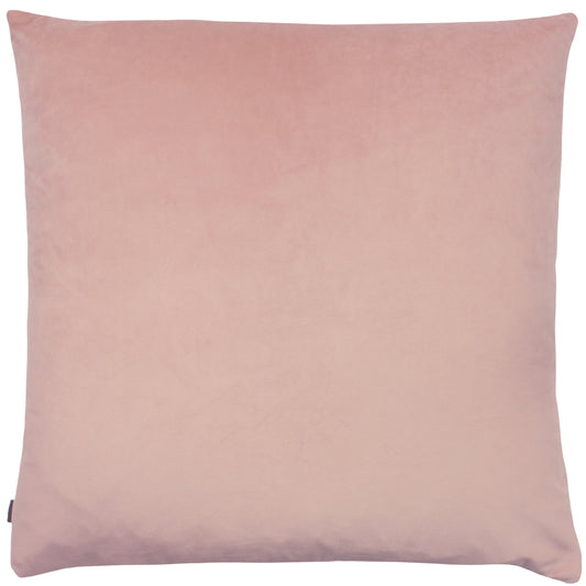ANDESITE 50X50 CUSHION CASE BLUSH/POWDER