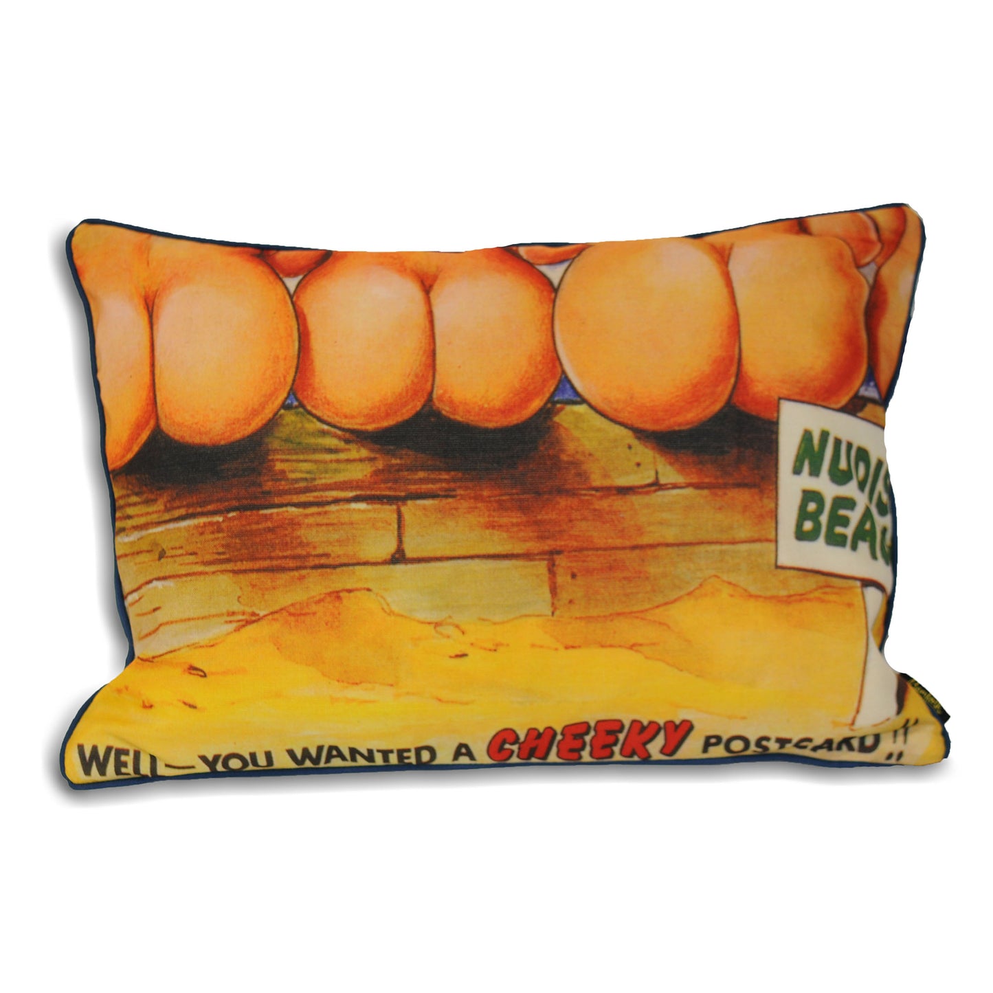 BAMFORTH NUDIST BEACH CUSHION CASE 35X50