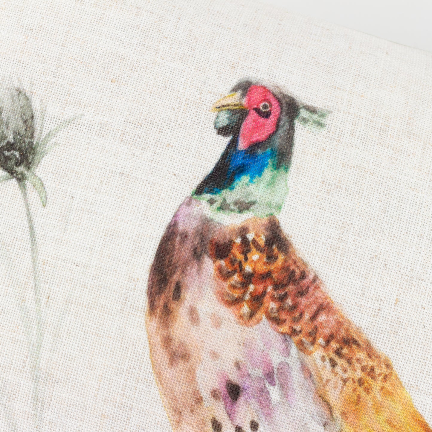 COUNTRY PHEASANT 30X50 CUSHION CASE NATURAL