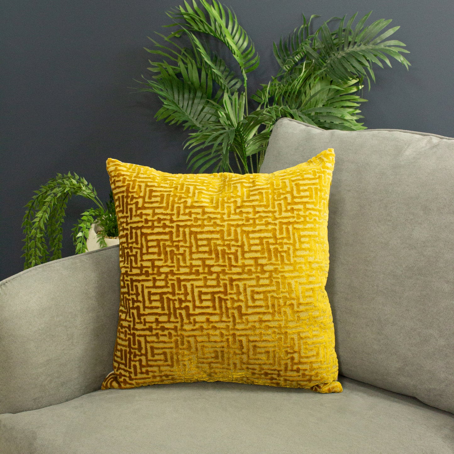 DELPHI 45X45 C/CASE GOLD