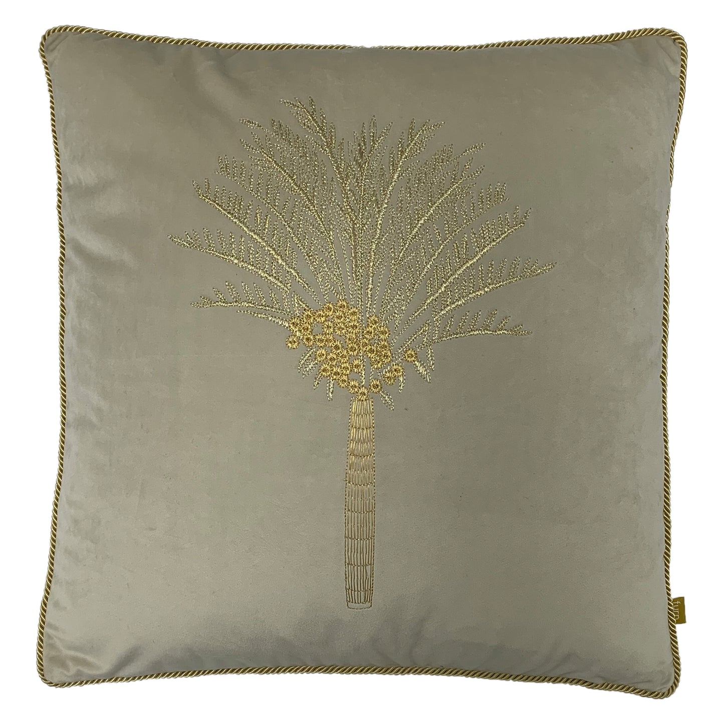DESERT PALM 50X50 C/CASE IVORY