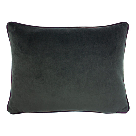 ELWOOD HEDGEHOG 43X33 C/CASE MULTI