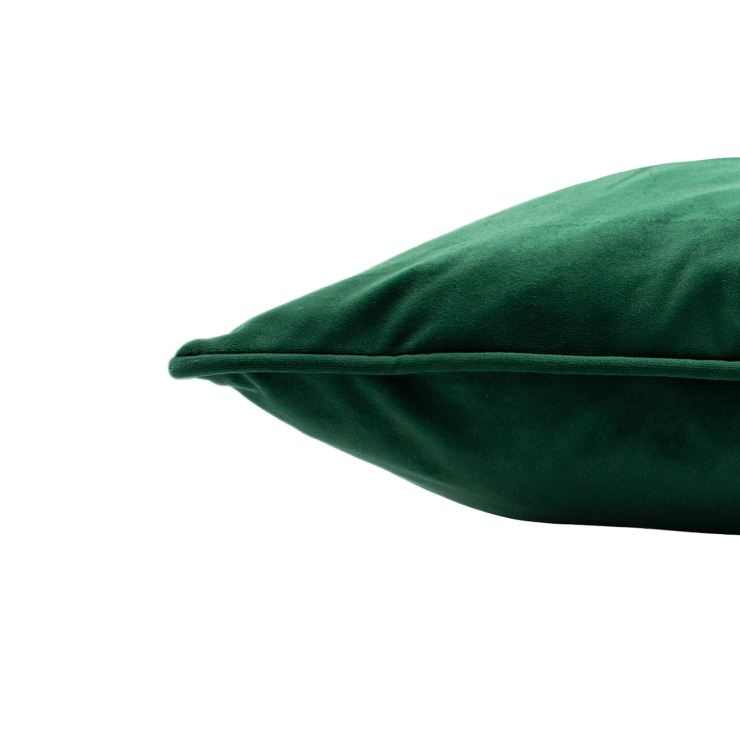 HORTUS 50X50 C/CASE EMERALD