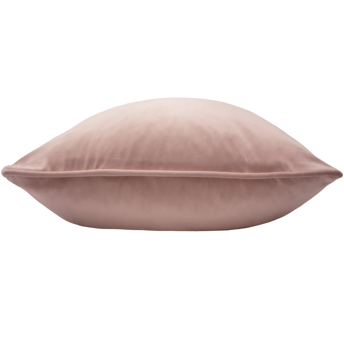 OPULENCE 55X55 C/CASE POWDER