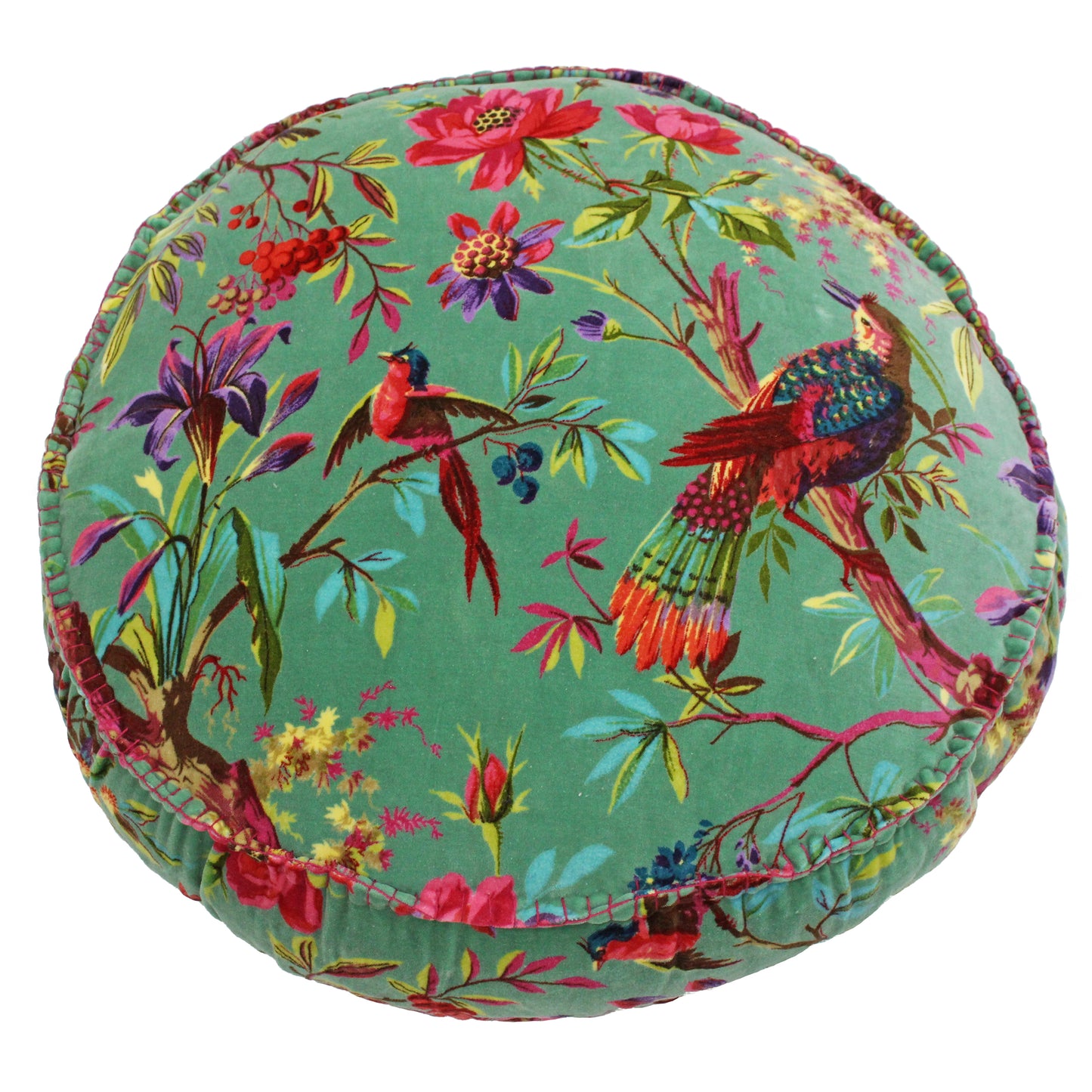 PARADISE 50X12 RD C/CASE AQUA
