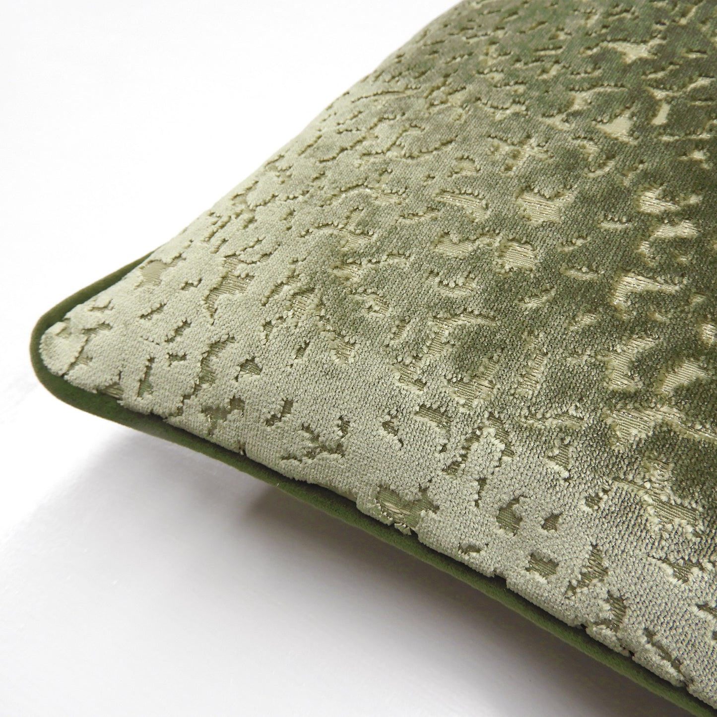 PHAROAH 30X50 C/CASE OLIVE