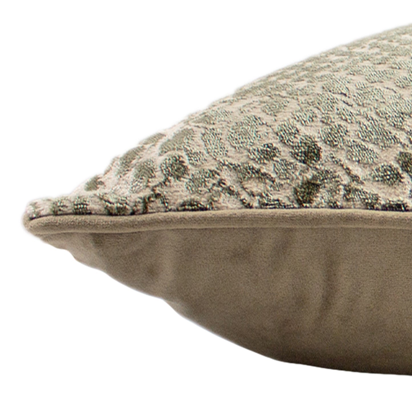 PYTHON 40X60 C/CASE CHAMPAGNE