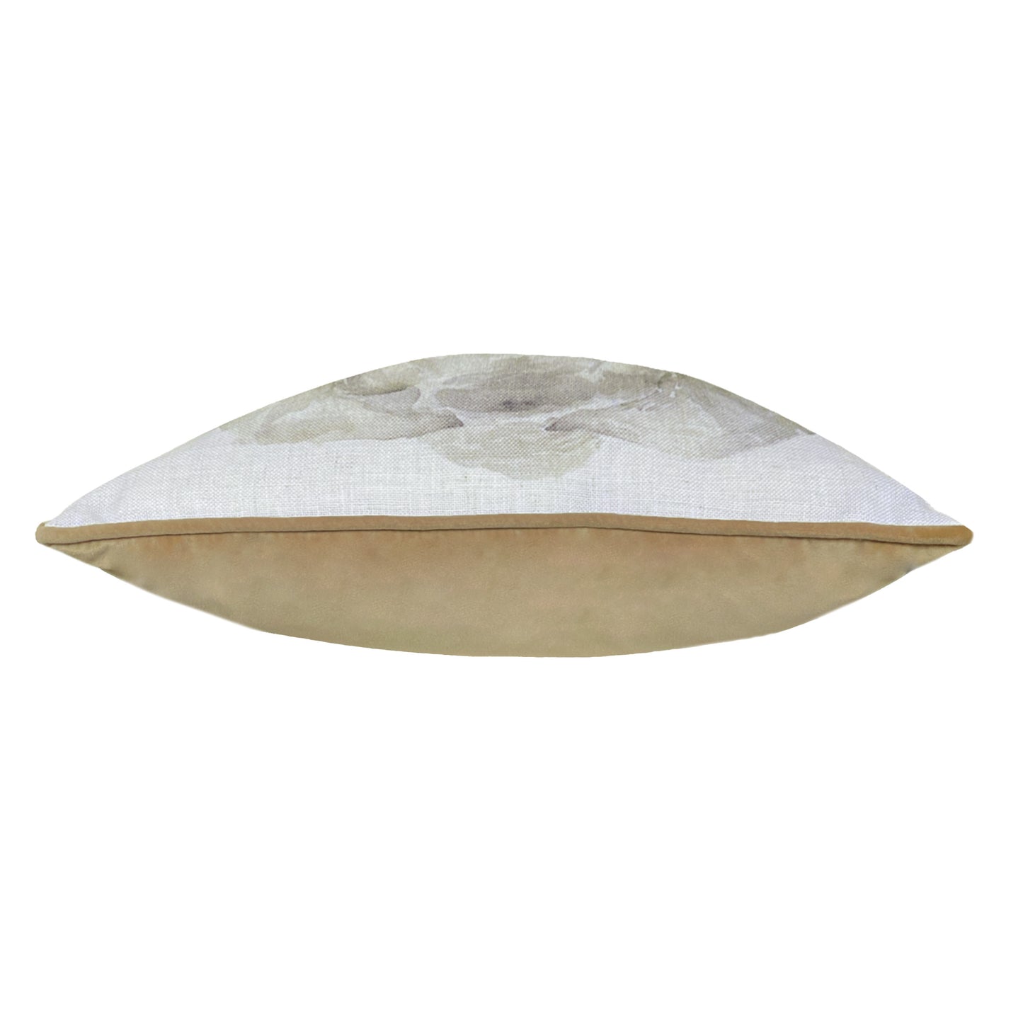 SAFARI ELEPHANT RV MB 43X43 C/C WHITE