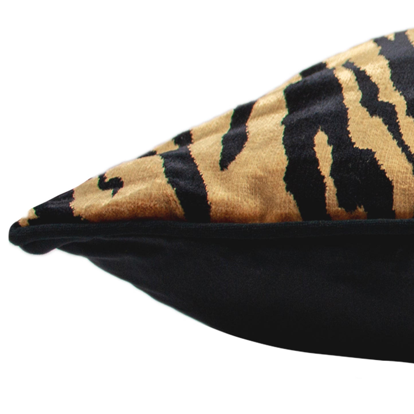 TIGRIS 55X55 C/CASE GOLD