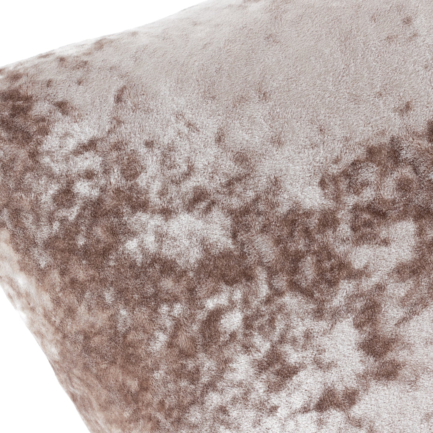 VERONA 55X55 C/CASE OYSTER