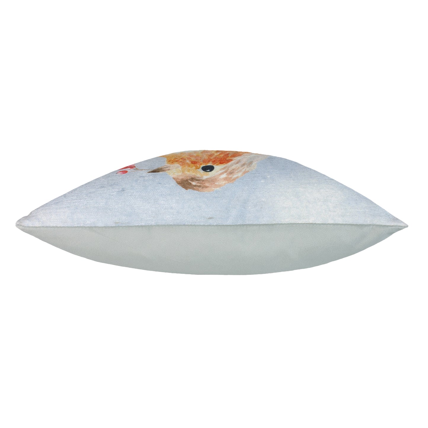 XMAS ROBIN 43X43 C/CASE MULTI