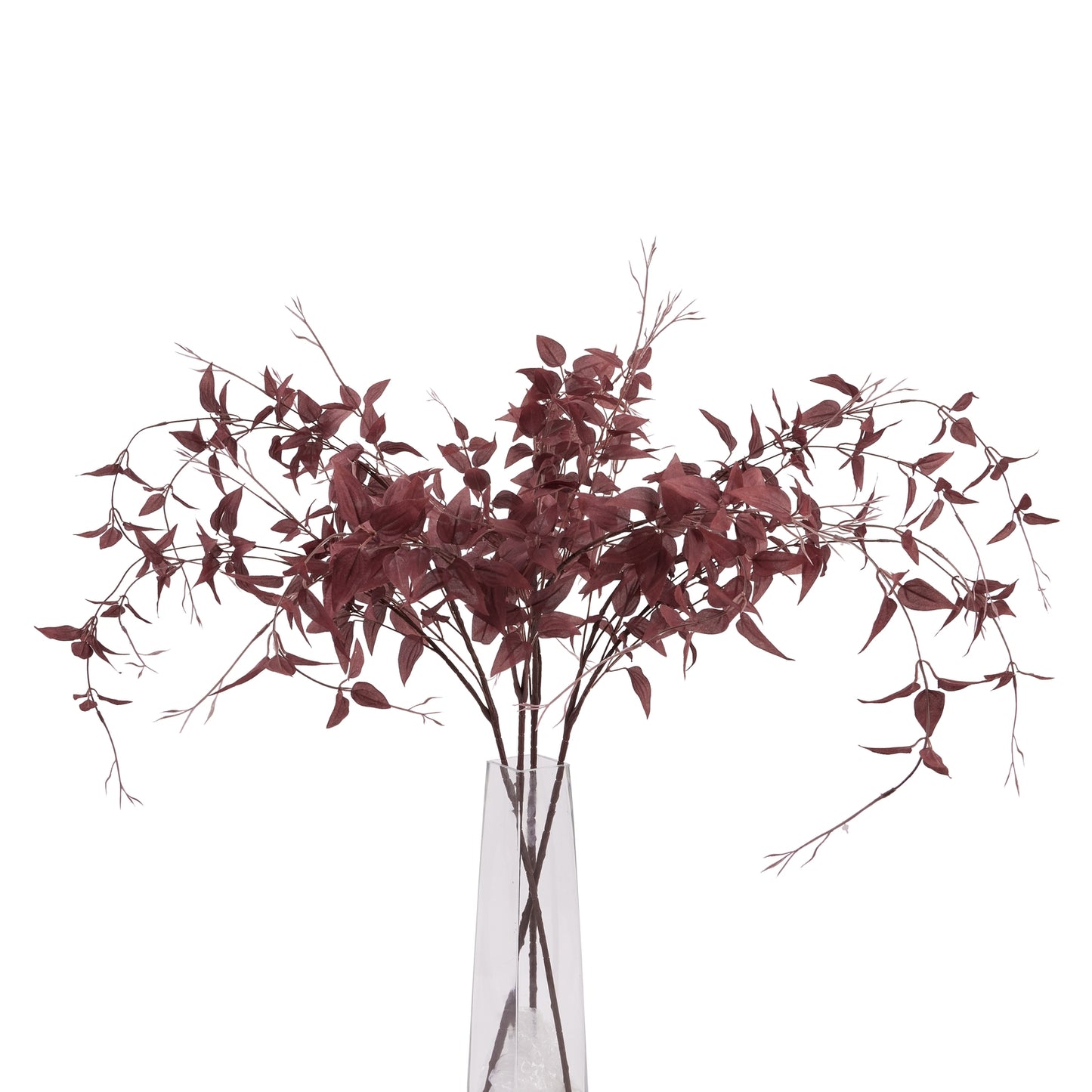 Ornamental Burgundy Leaf