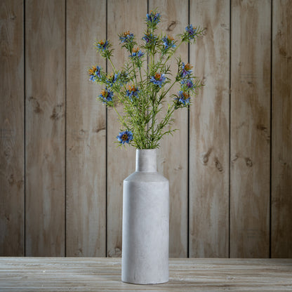 The Natural Garden Collection Purple Nigella Love In A Mist