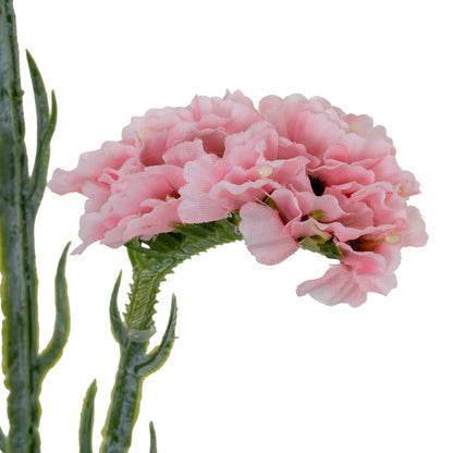 Pink Statis Spray