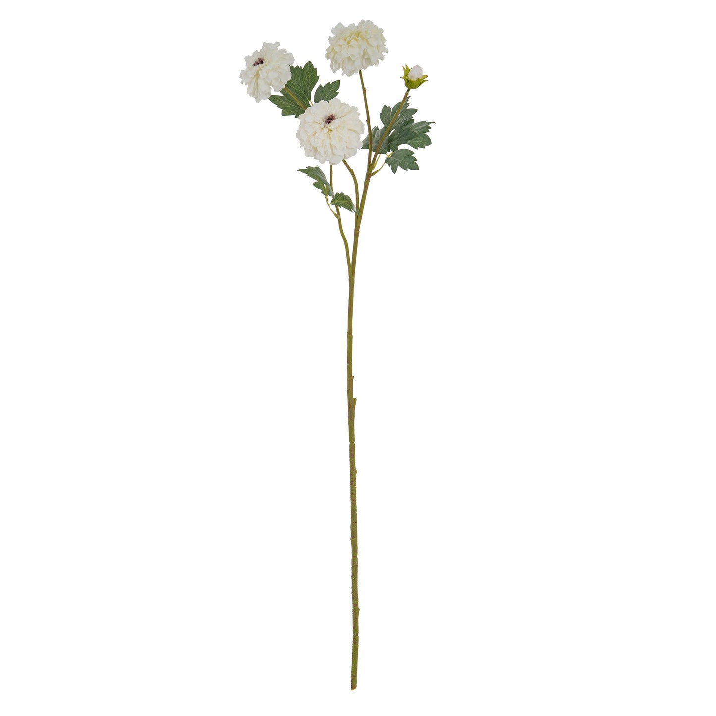 White African Marigold Large Spray