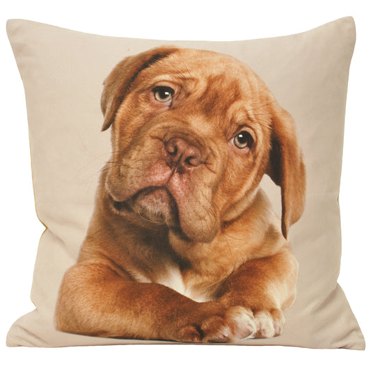 ANIMAL LABRADOR 45X45 CUSHION CASE