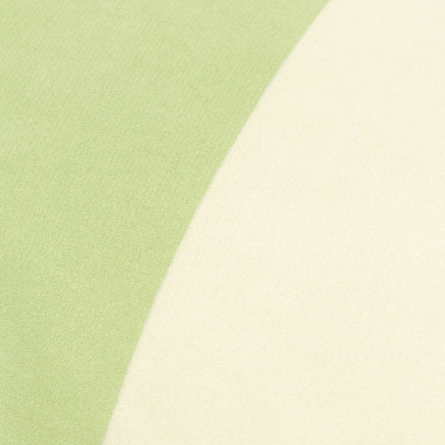 ARAYA 30X50 CUSHION CASE GREEN