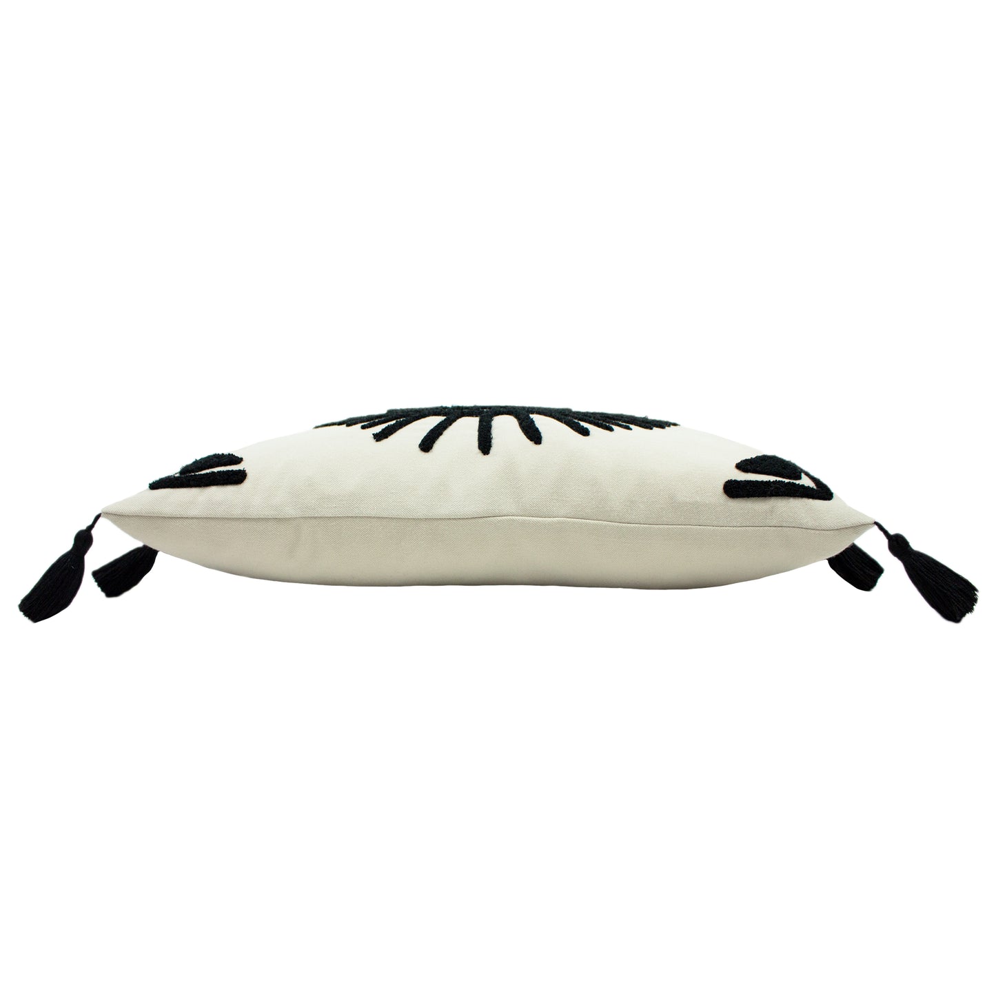 ASHRAM EYE 35X50 CUSHION CASE MONO