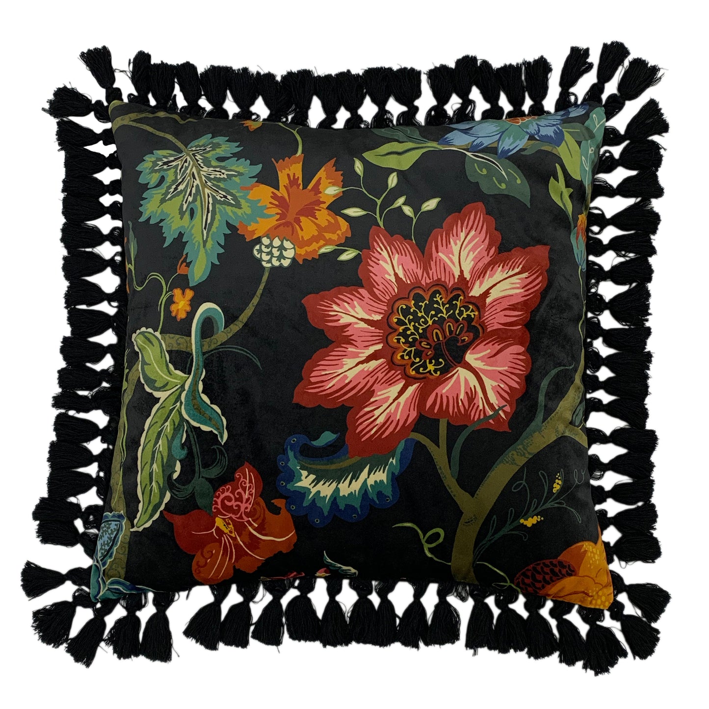 BOTANIST 50X50 C/CASE BLACK