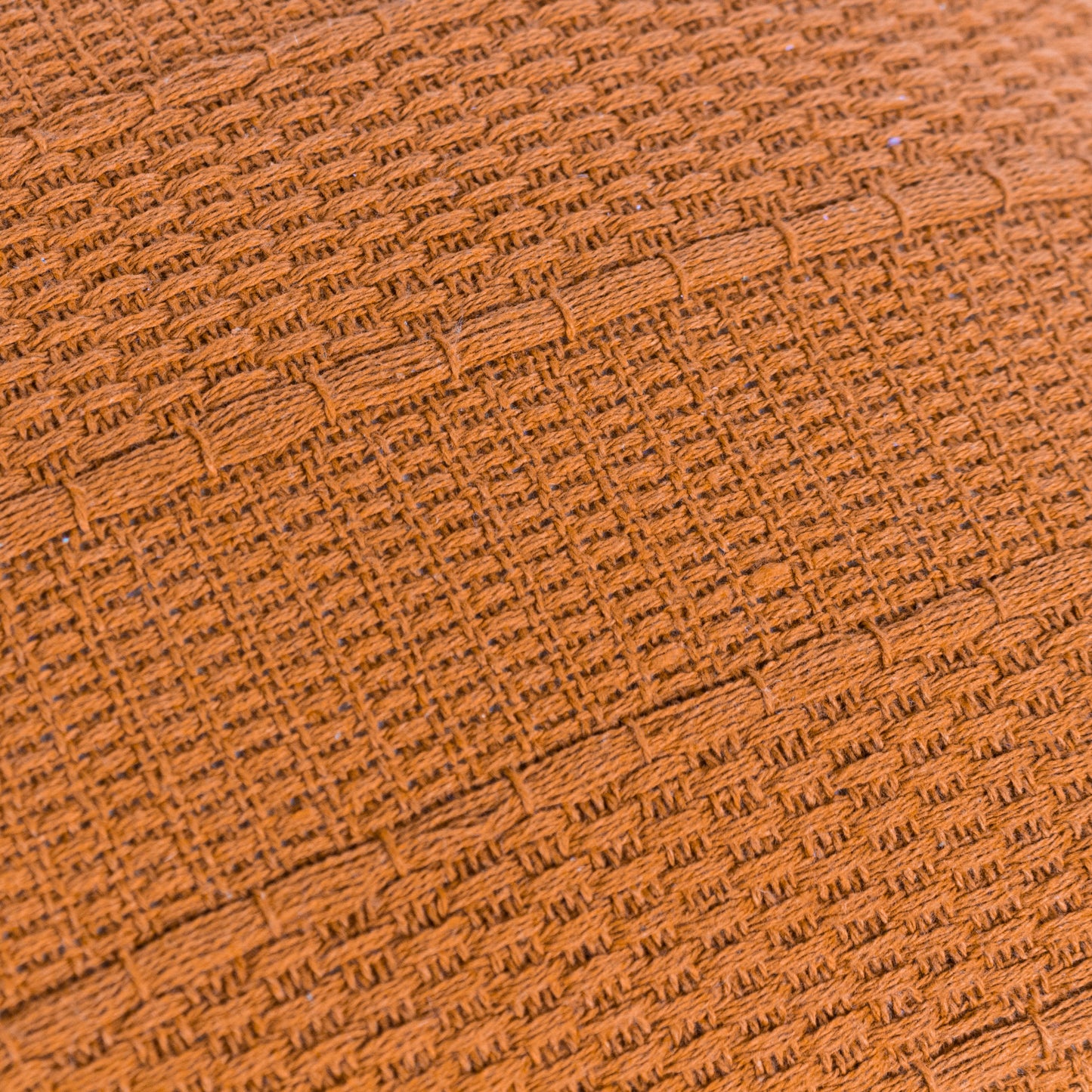 CALICHE 40X60 CUSHION CASE GINGER