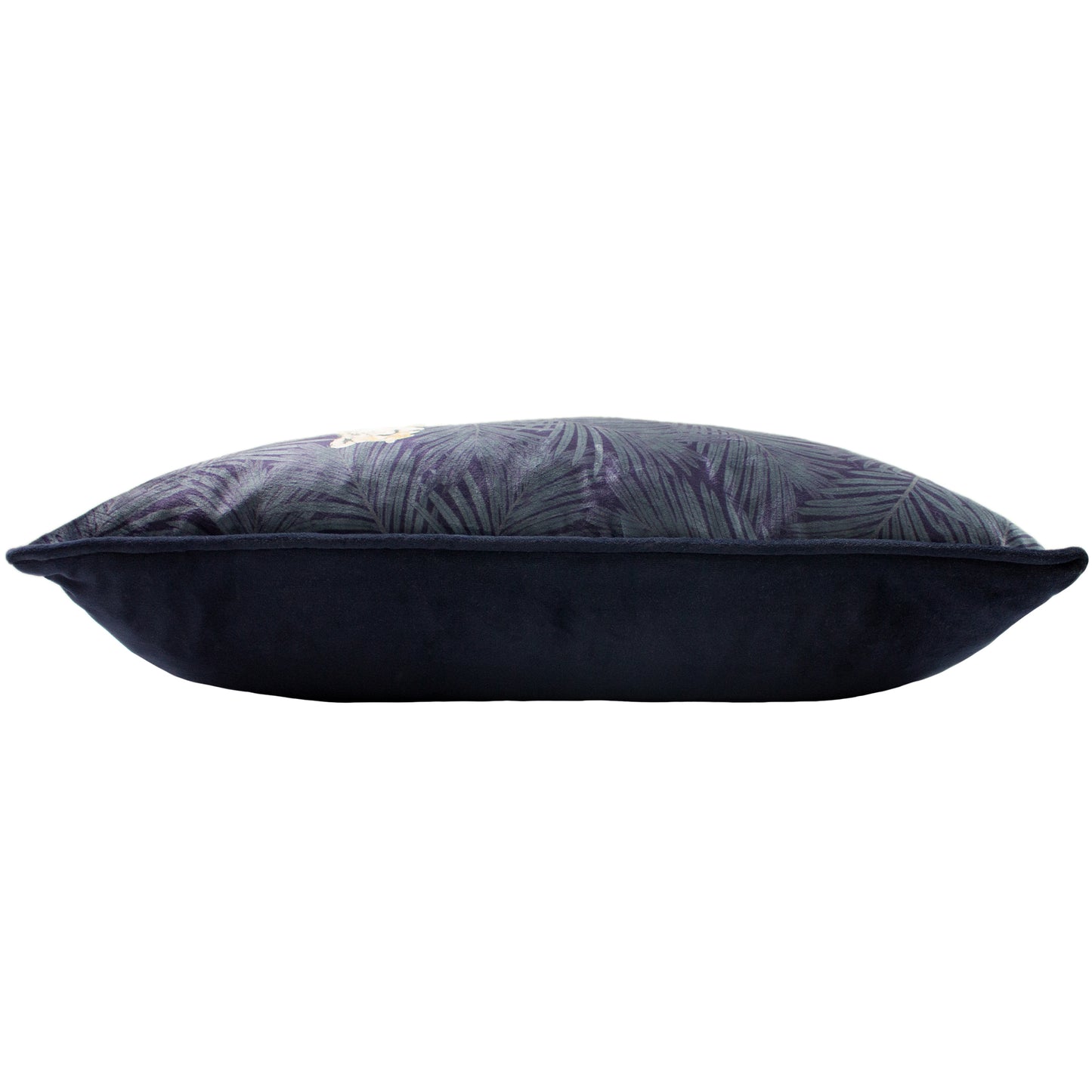 CHEETAH FOREST 30X50 C/CASE NAVY