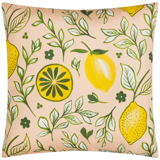 CITRONELLO 45X45 OUTDOOR CUSHION CASE PEACH