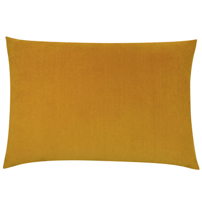 CONTRA 40X60 C/CASE MUSTARD