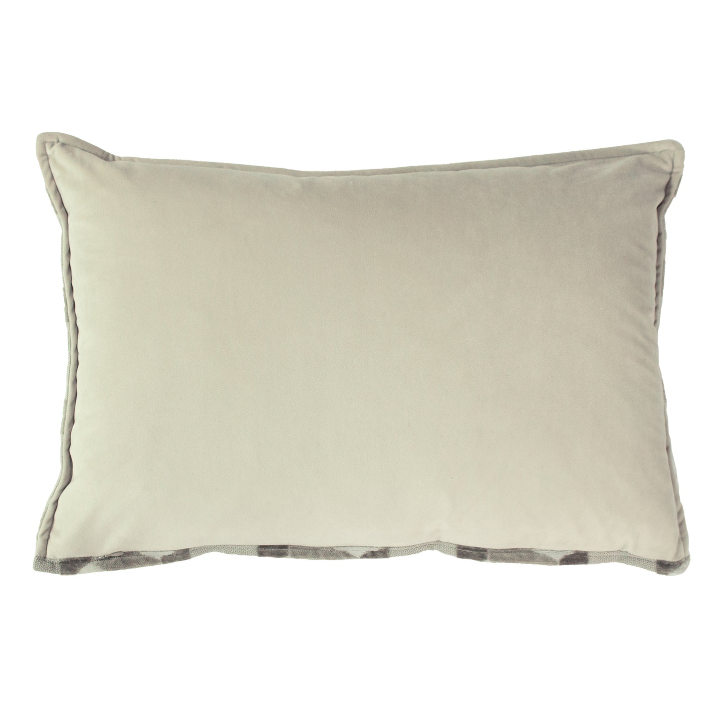 DELANO 40X60 C/CASE IVORY/TAUPE