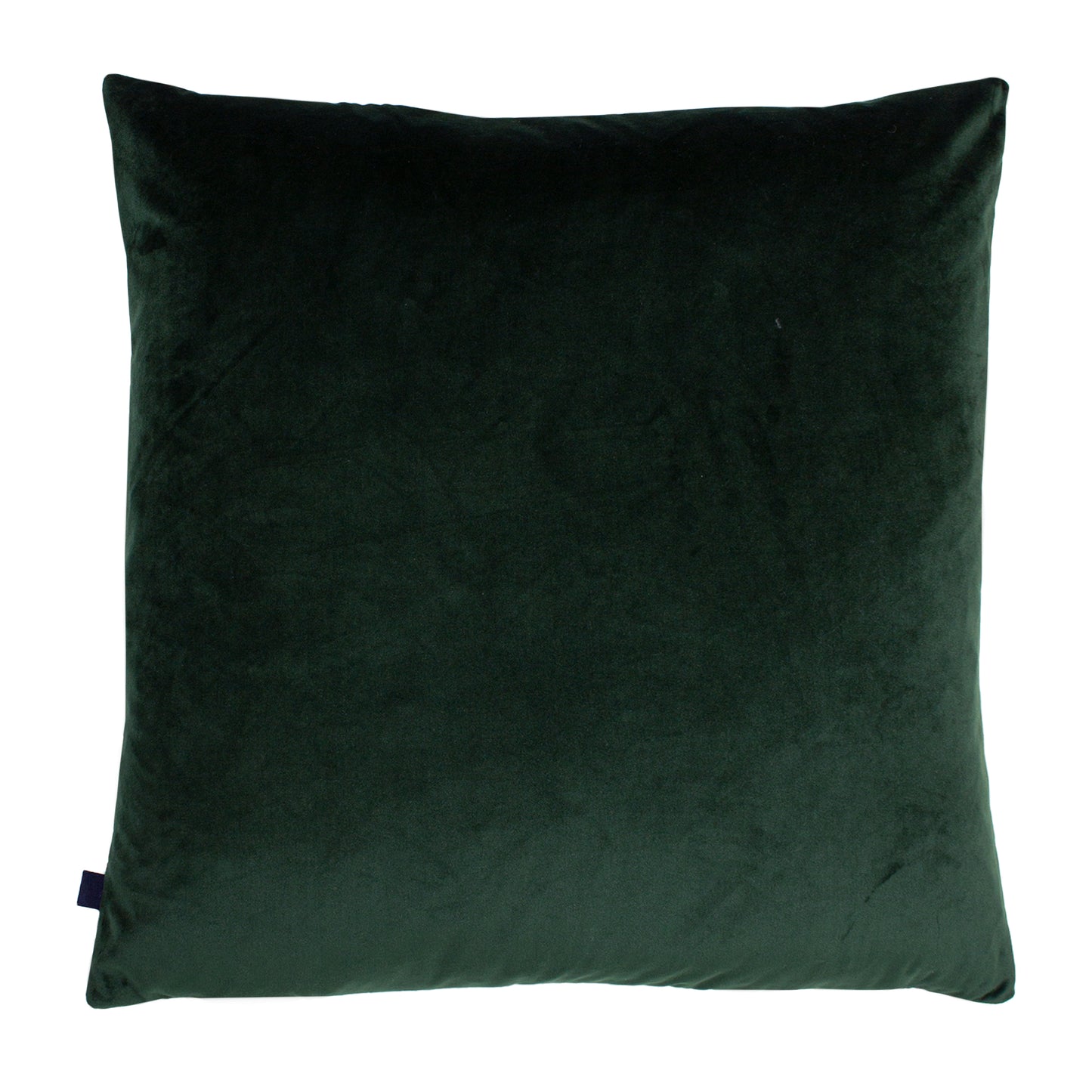 DINARIC 50X50 C/CASE FERN/DARK GREEN