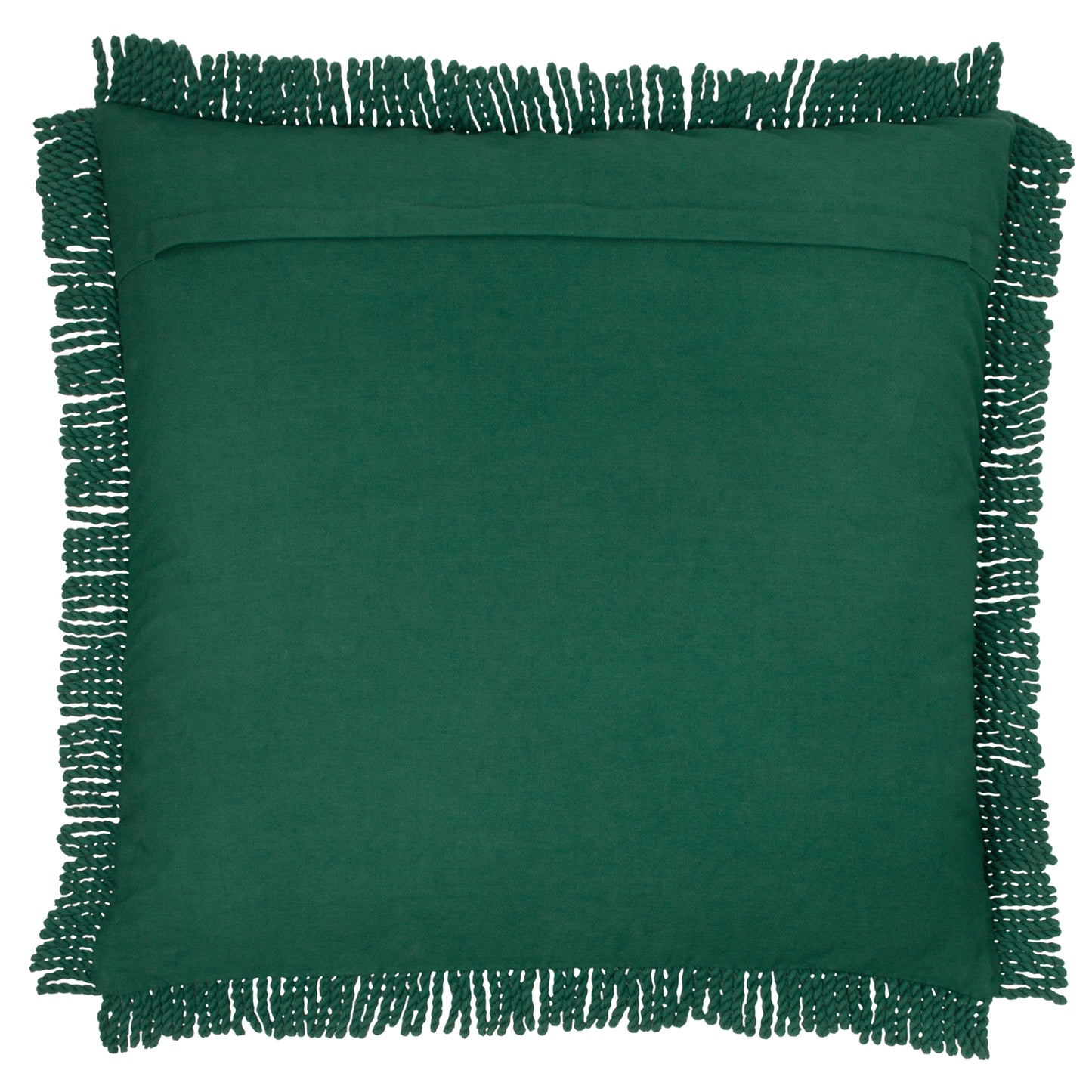 ECUADOR 50X50 C/CASE NATURAL/EMERALD