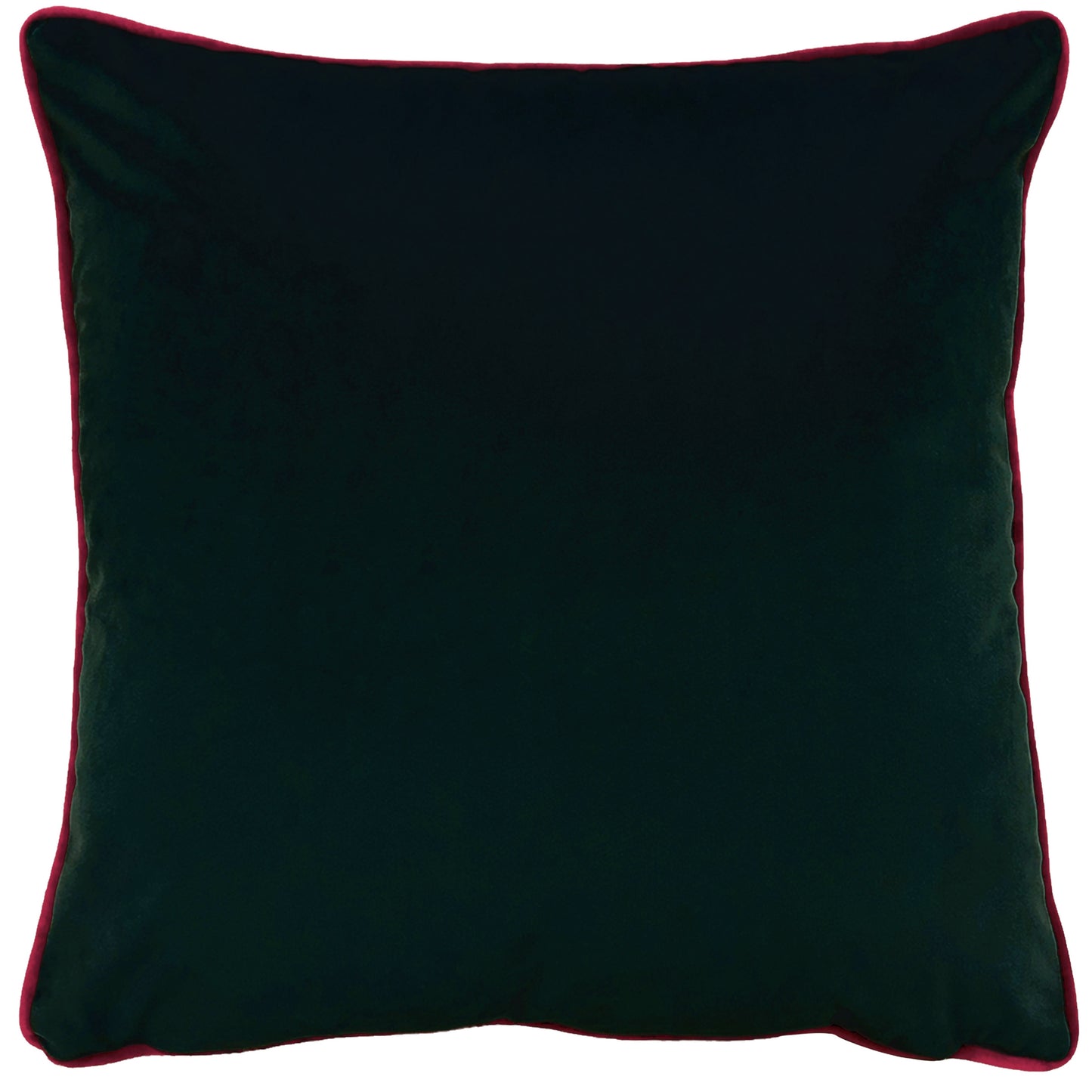 EDEN BLOOM 50X50 C/CASE