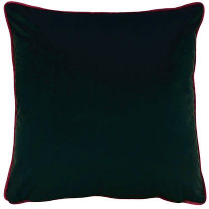 EDEN BLOOM 50X50 C/CASE