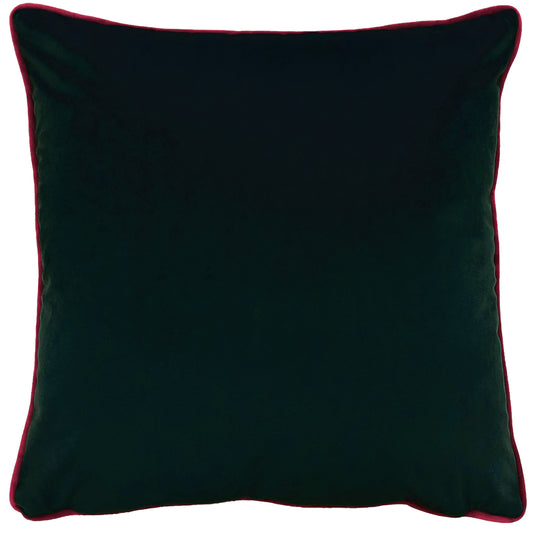 EDEN BLOOM 50X50 C/CASE