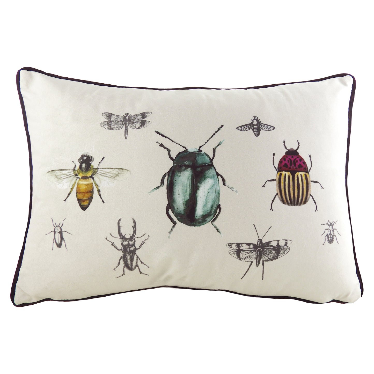 EDEN INSECTS 35X50 C/CASE