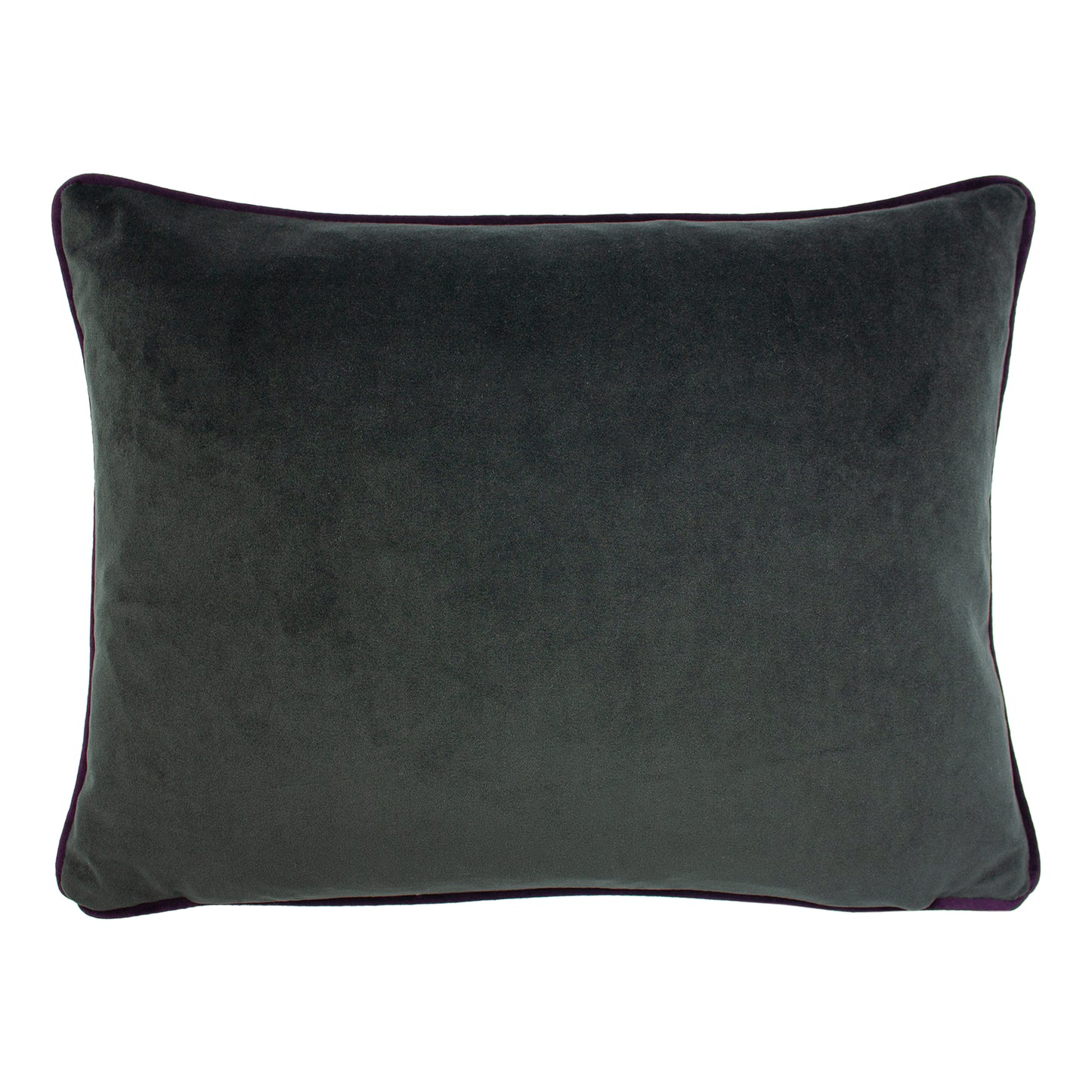 ELWOOD HEDGEHOG 43X33 C/CASE MULTI