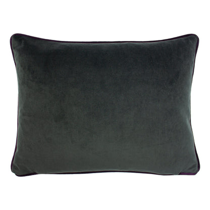 ELWOOD HEDGEHOG 43X33 C/CASE MULTI