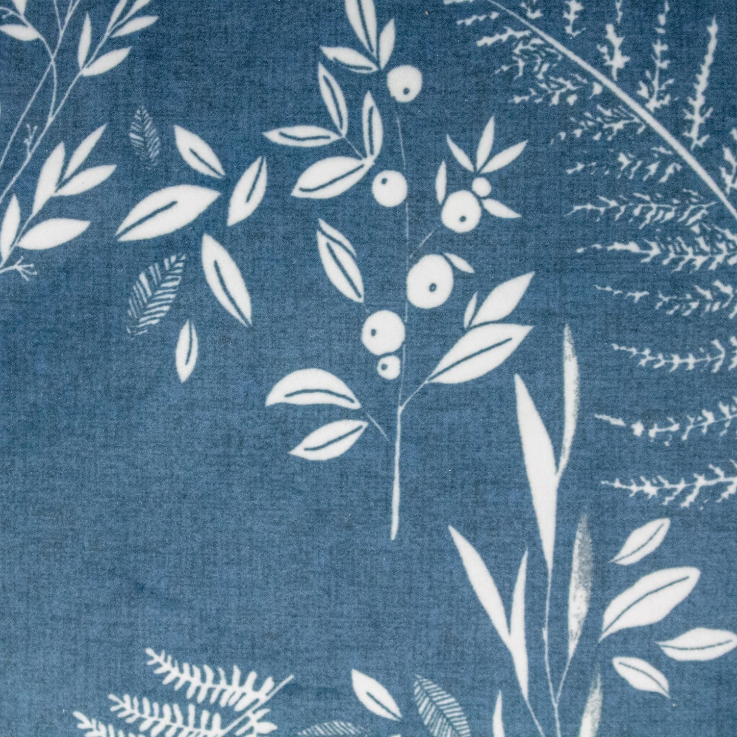 FEARNE 50X50 C/CASE TEAL