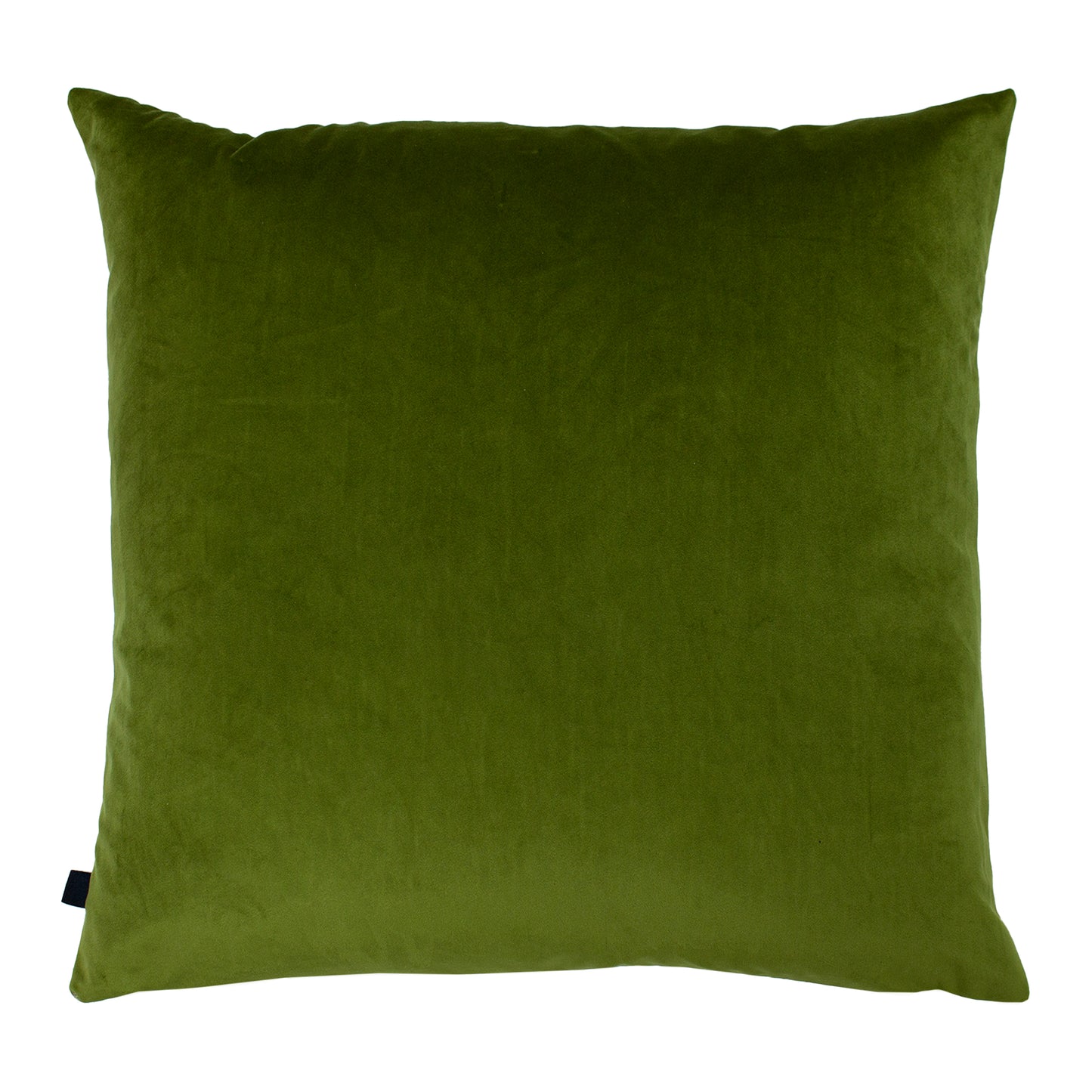 FENIX 50X50 C/CASE FERN/OLIVE