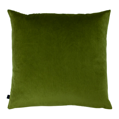 FENIX 50X50 C/CASE FERN/OLIVE