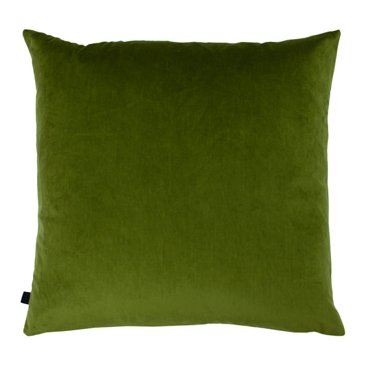 FENIX 50X50 C/CASE FERN/OLIVE