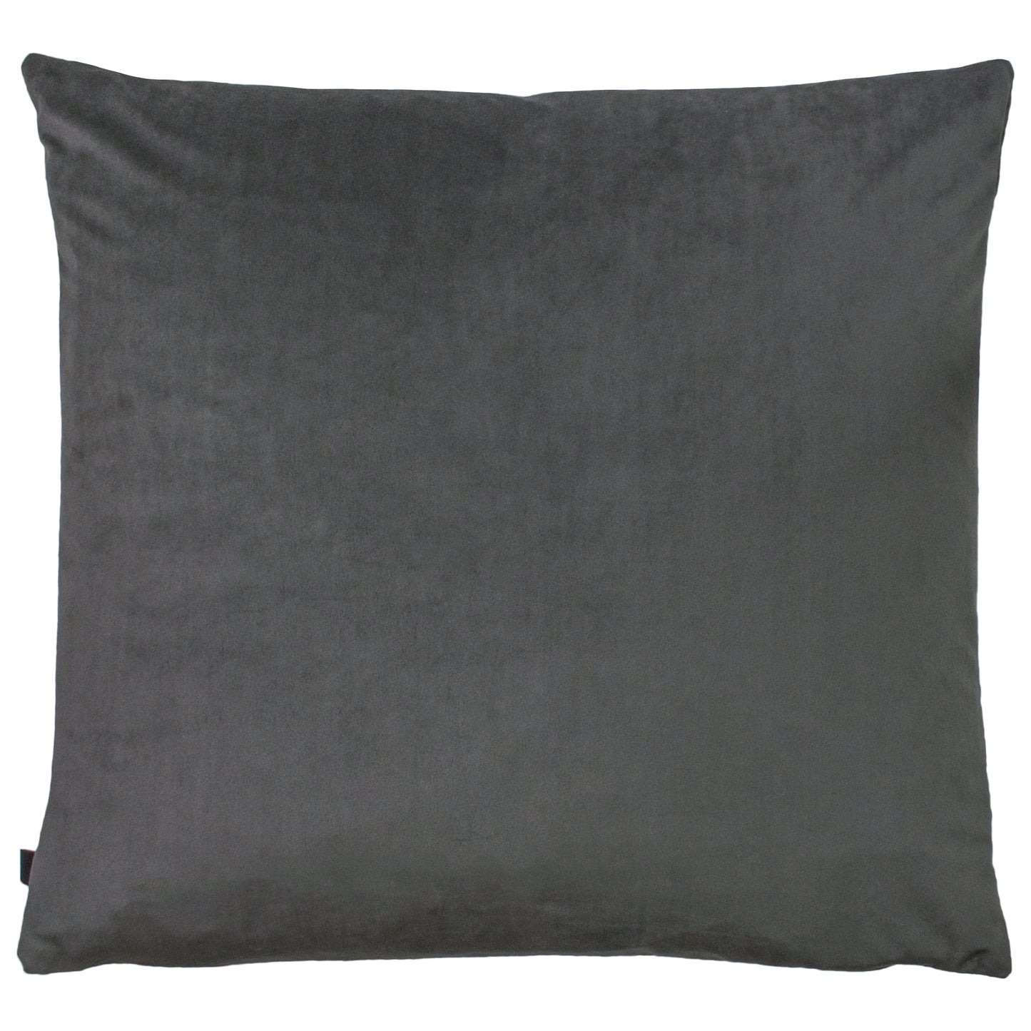 FENIX 50X50 C/CASE SLATE/DARK GREY