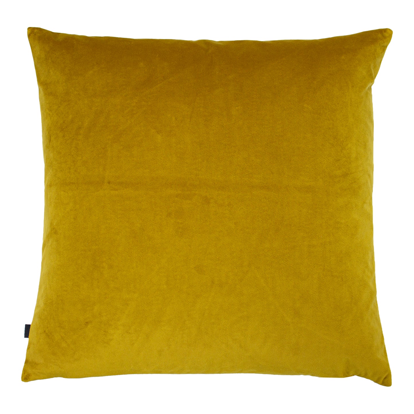 FENIX 50X50 C/CASE SUNSHINE/GOLD