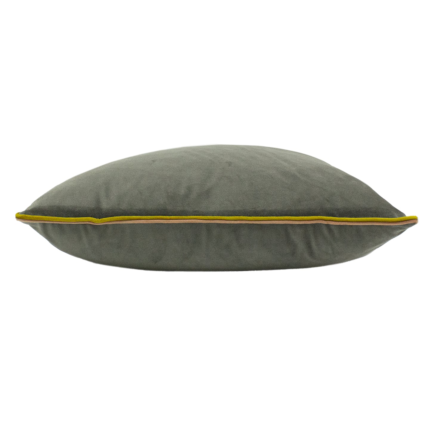 GEMINI 50X50 C/CASE GRY/BAM/BLS