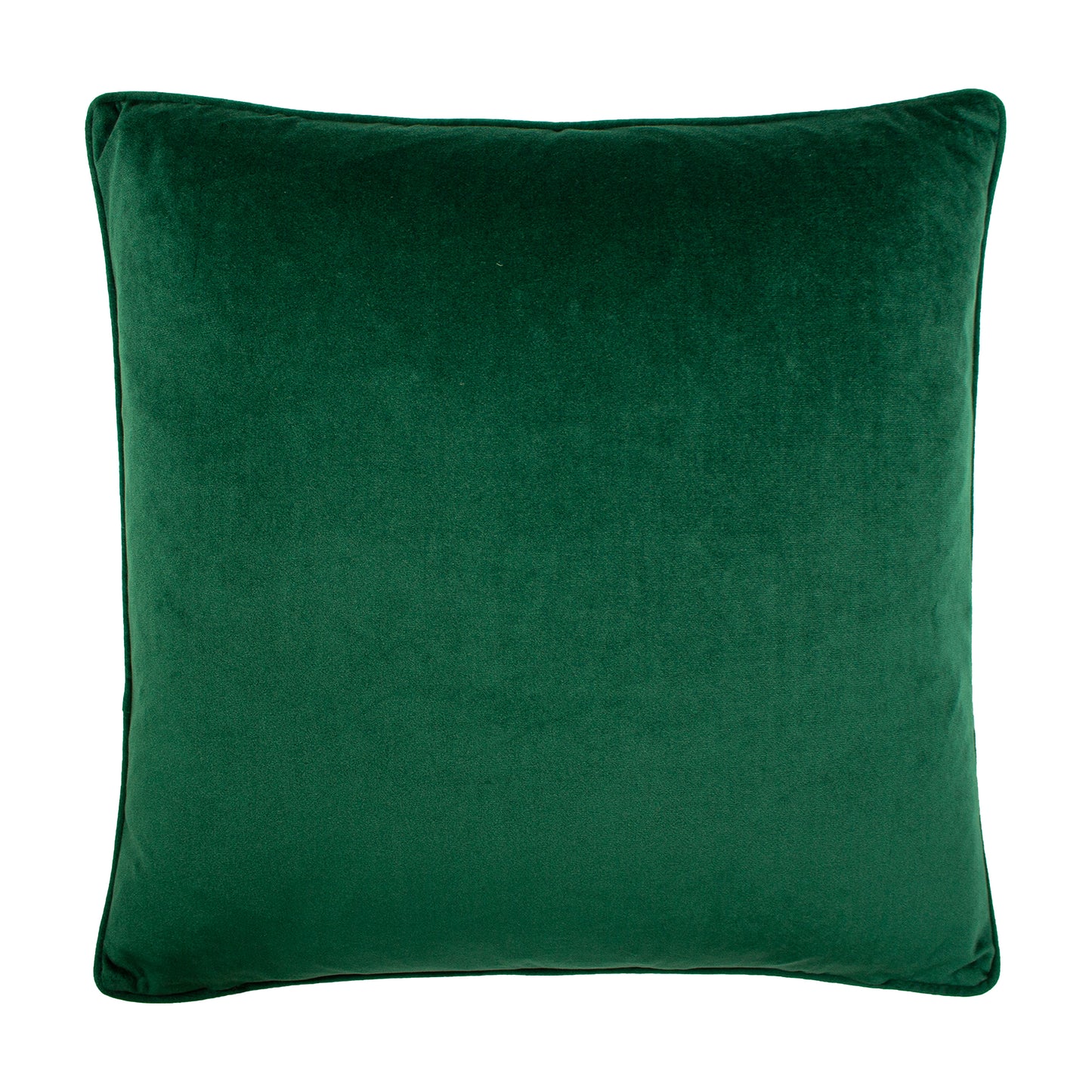 GIRAFFE PALM 50X50 C/CASE GREEN