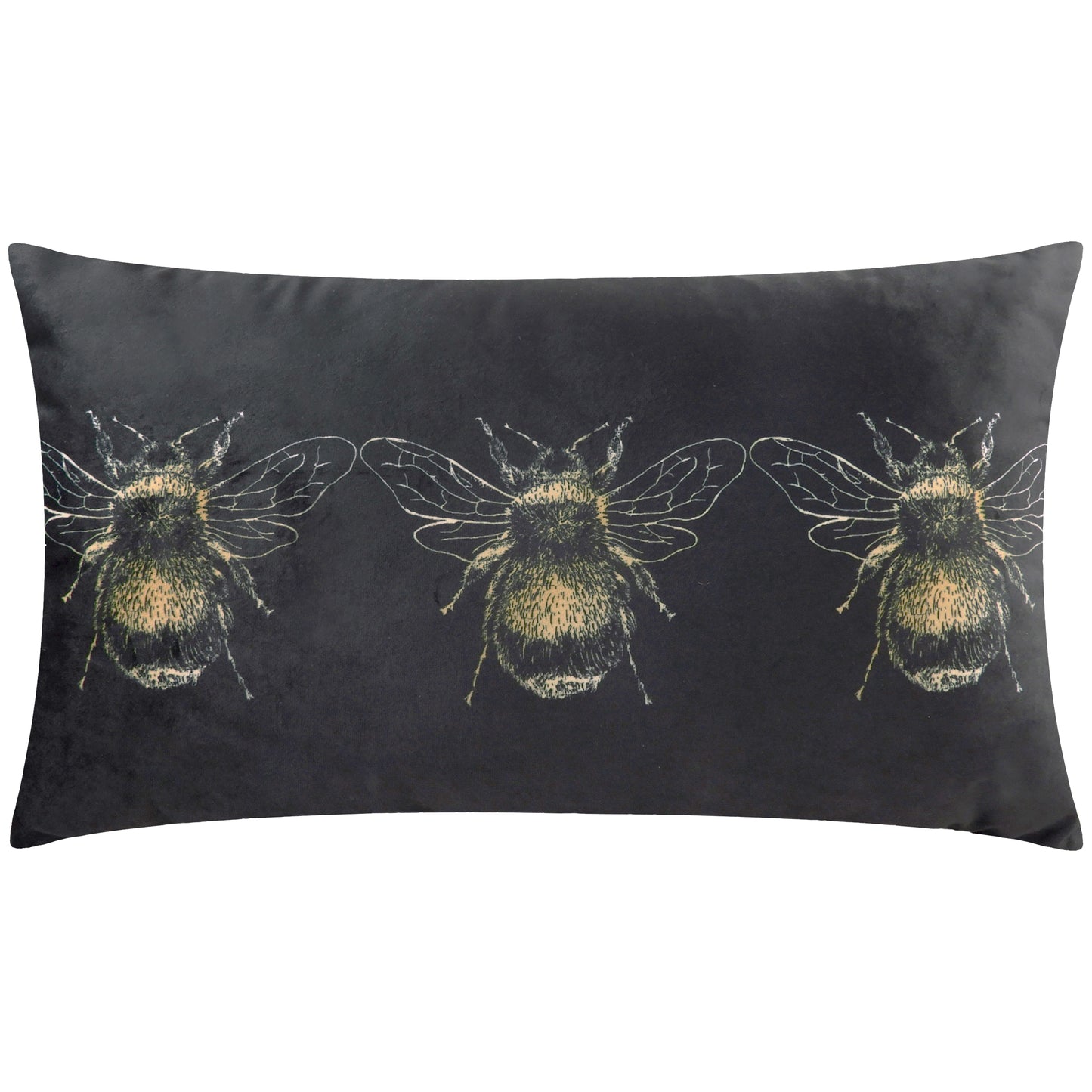 GOLD BEE 30X50 C/C BLACK
