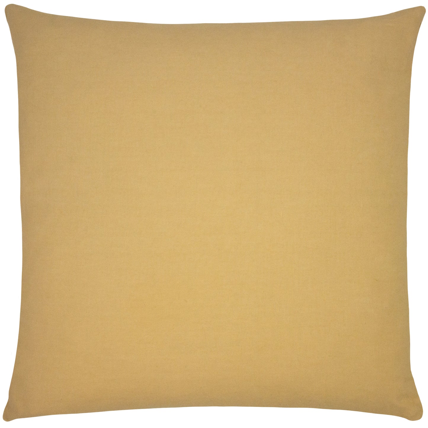 HIDDEN CHEETAH 50X50 C/CASE HONEY