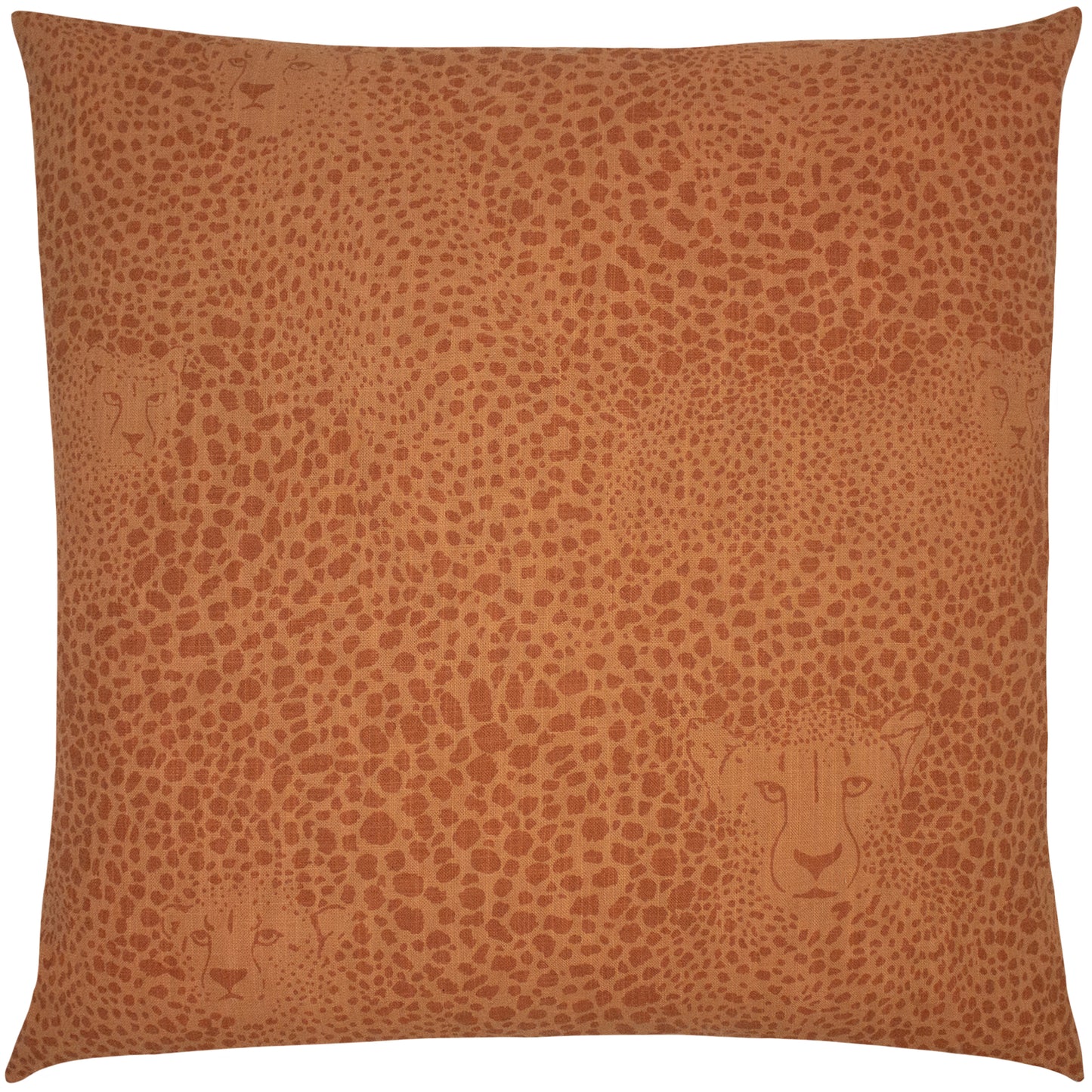 HIDDEN CHEETAH 50X50 C/CASE TERRACOTTA