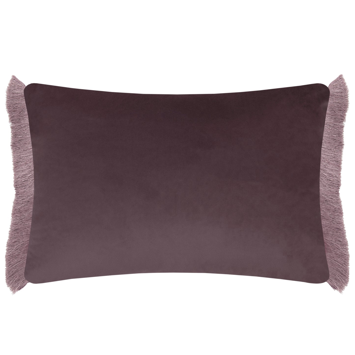 HETTIE 40X60 CUSHION CASE VIOLA
