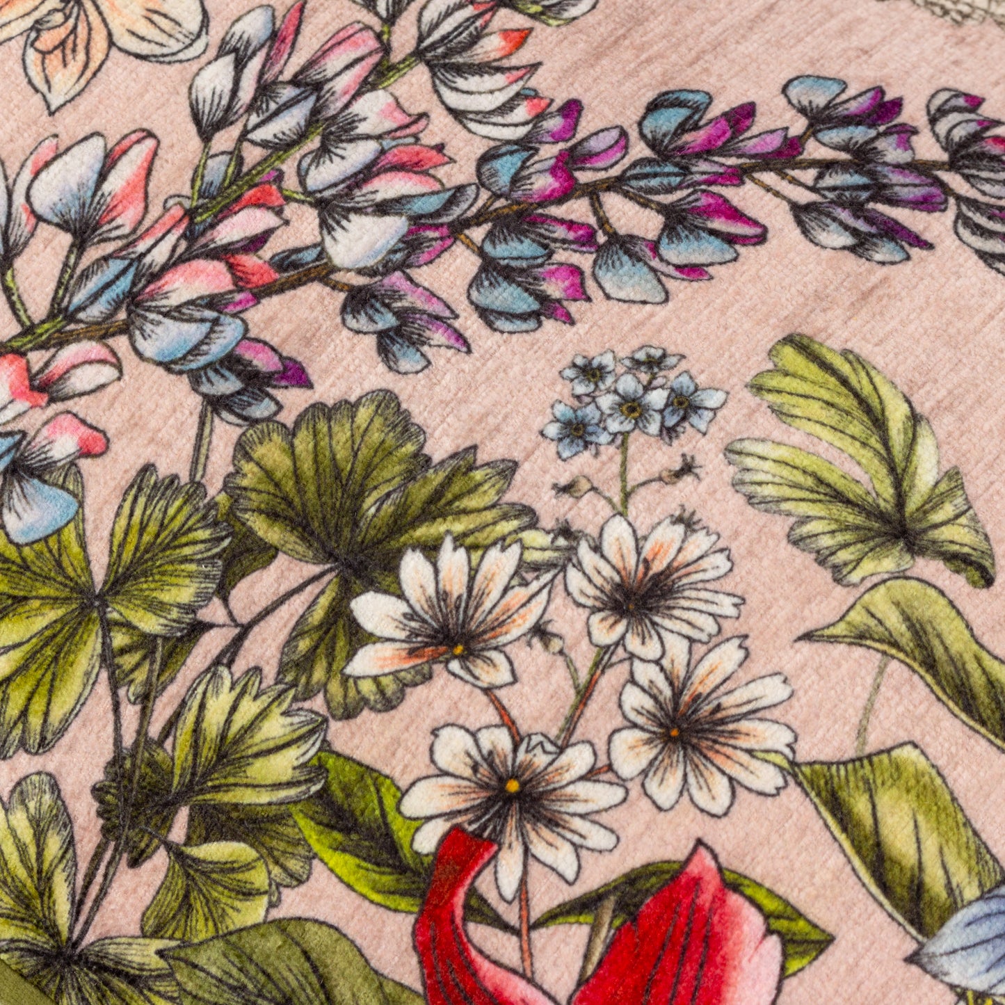 HIDCOTE MANOR EVELYN 30X50 CUSHION CASE BLUSH