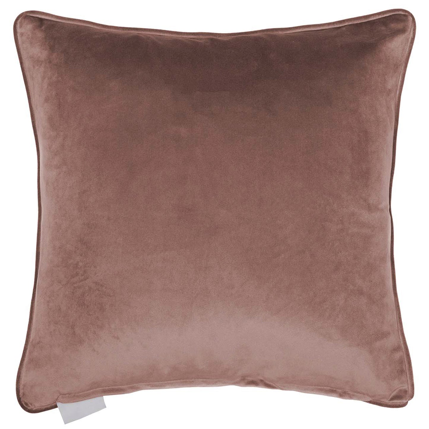 HONEYSUCKLE 43x43 CUSHION CASE BLOSSOM